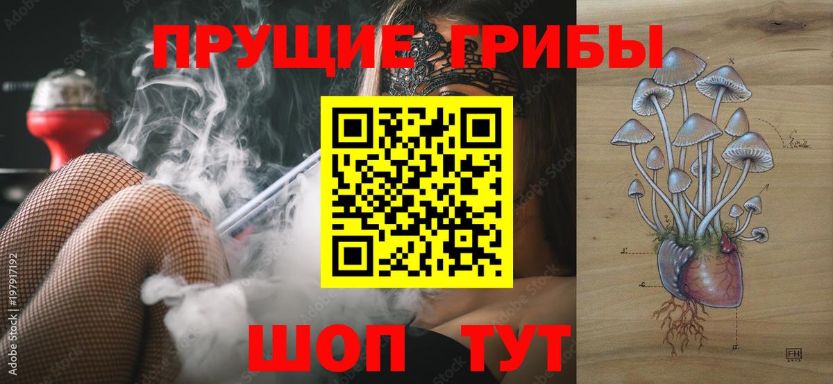 Псилоцибиновые грибы GOLDEN TEACHER Коряжма