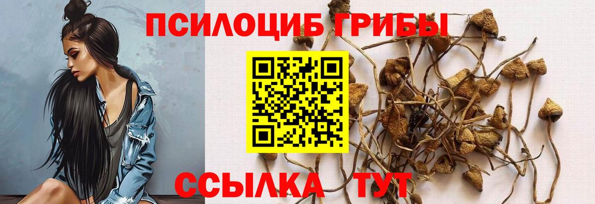 Псилоцибиновые грибы мицелий  Галлюциногенные грибы Psilocybe  где можно купить   Коряжма  Вход с VPN 